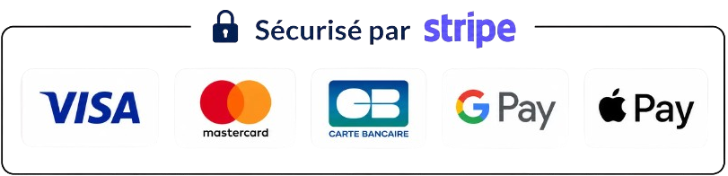 Visa, Mastercard, Carte Bancaire CB, Apple Pay, Google Pay